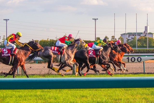 Iモードで競馬ビジネス立ち上げ 会社設立 1億５千万円の損失 Koukoku Ya